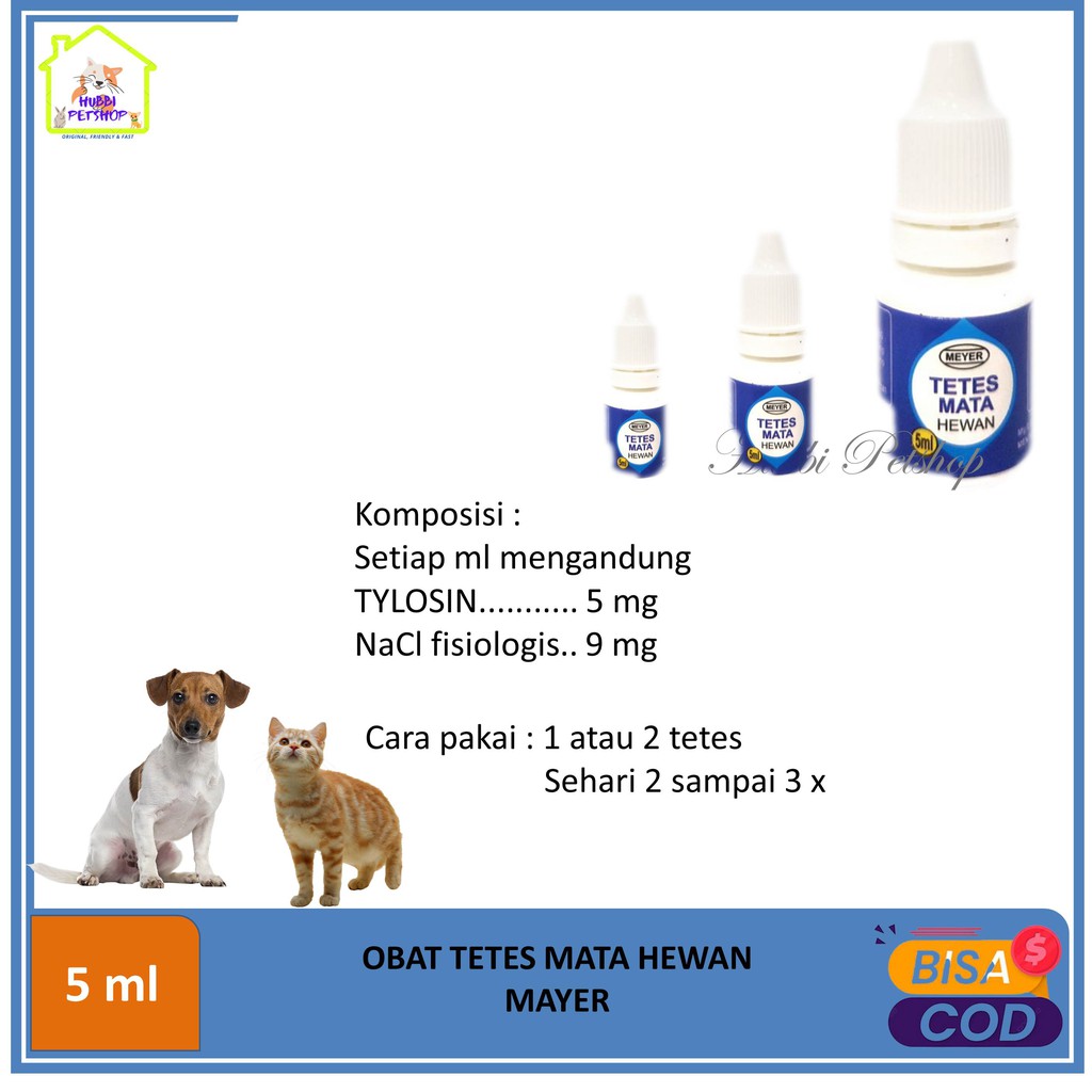 Obat Tetes Mata Kucing Anjing Kelinci Burung 5ml MAYER