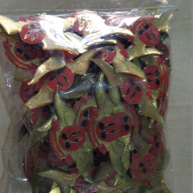 

Dewan penggalang
