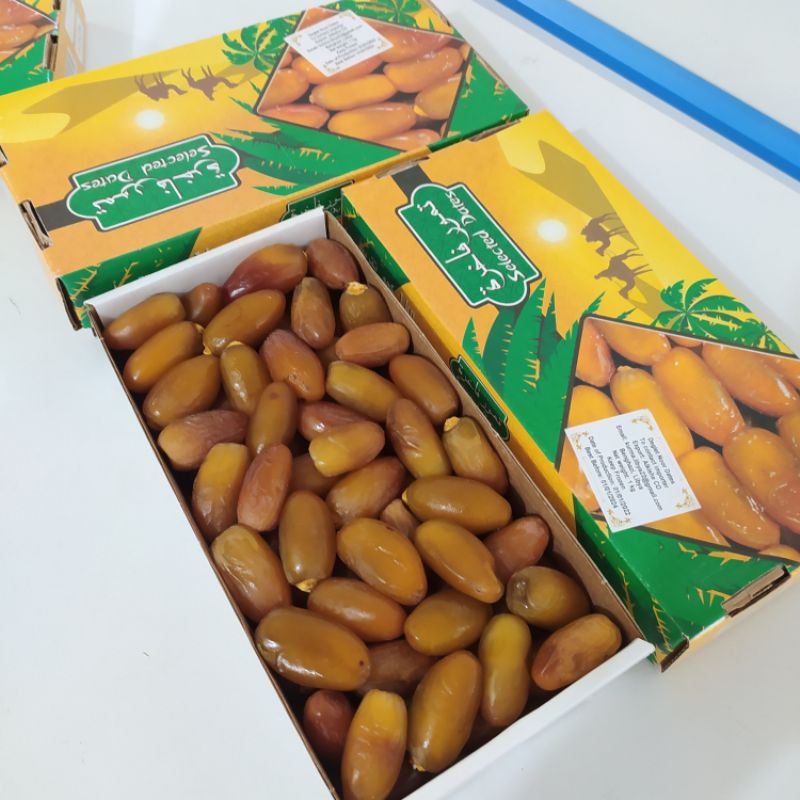 

Ruthob Libya Kurma Segar Kurma Basah Kurma 1kg Buah Segar