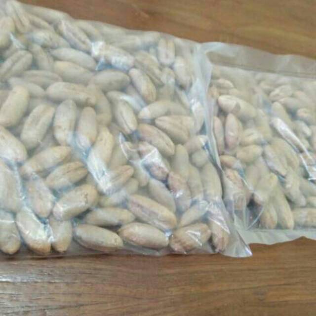 

BIJI KL 1