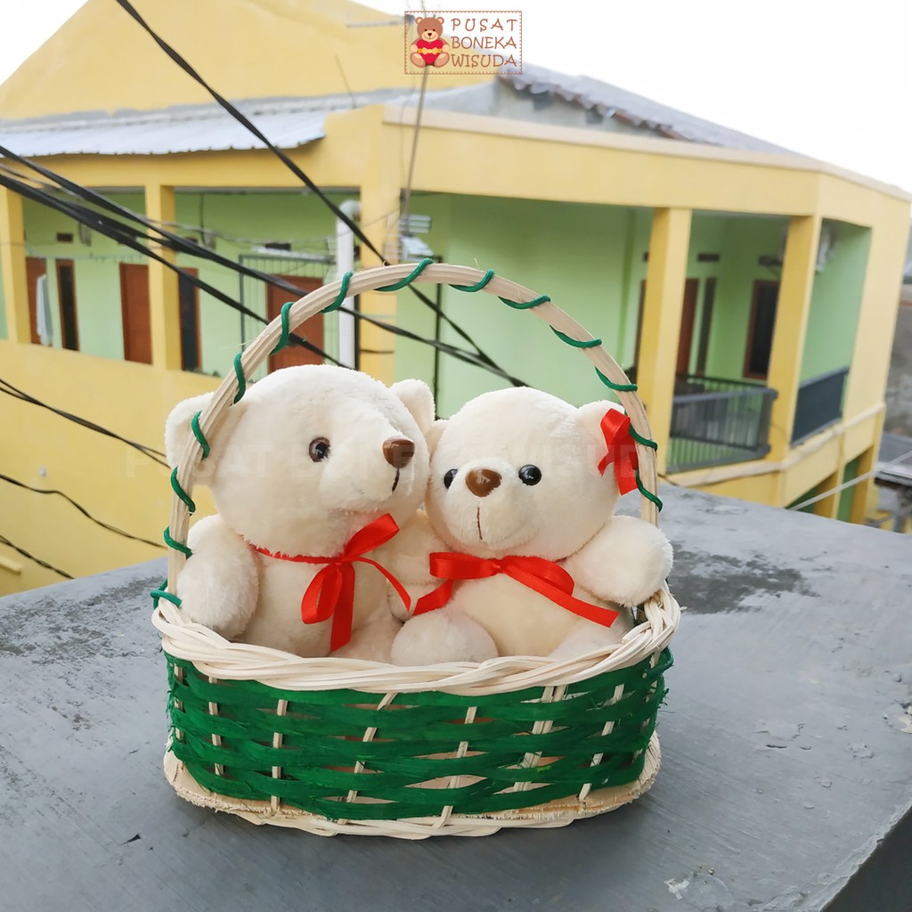 Boneka Teddy Bear Keranjang Murah Ultah Ulang Tahun Kado Birthday Kecil Couple copel cople pasangan