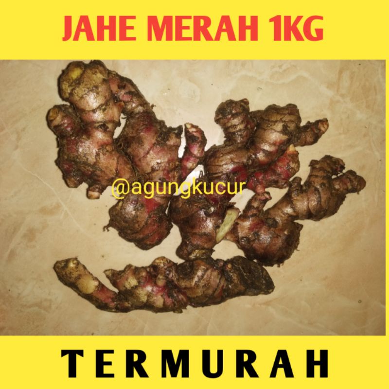 

JAHE MERAH KESEHATAN 1KG SEGAR