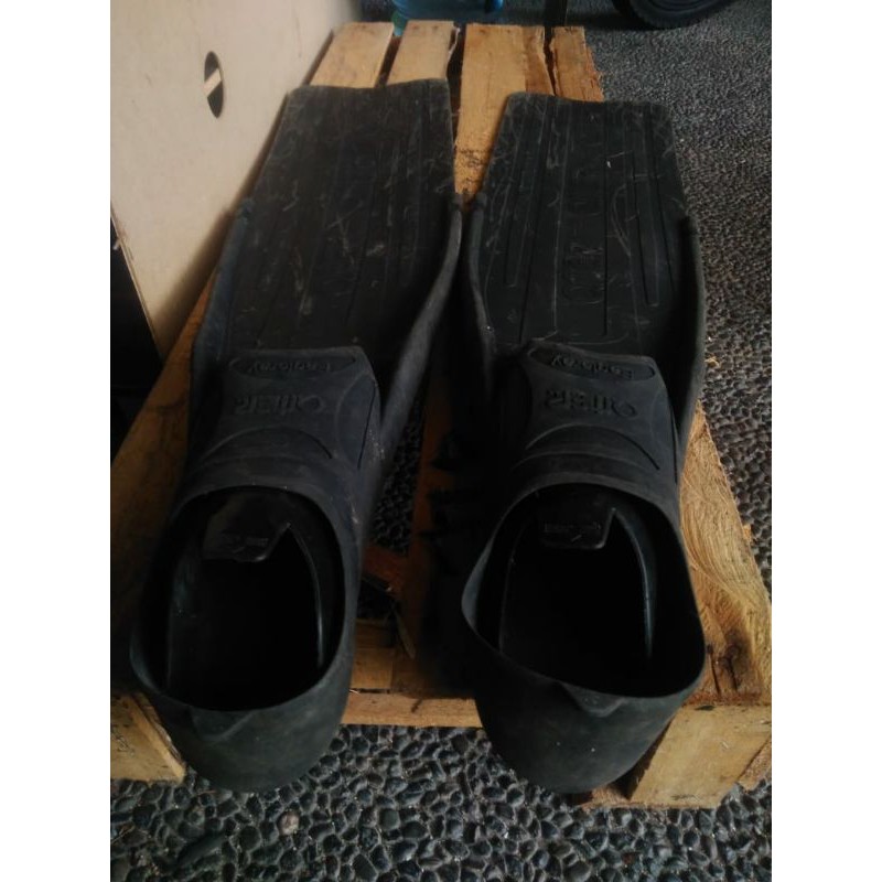 [PESANAN KHUSUS] Long Fins Omer Eagleray