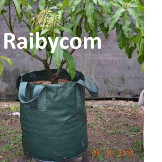 ✰ Planter Bag 200 Liter Easy Grow Jumbo Planterbag Pohon Buah Besar ❄