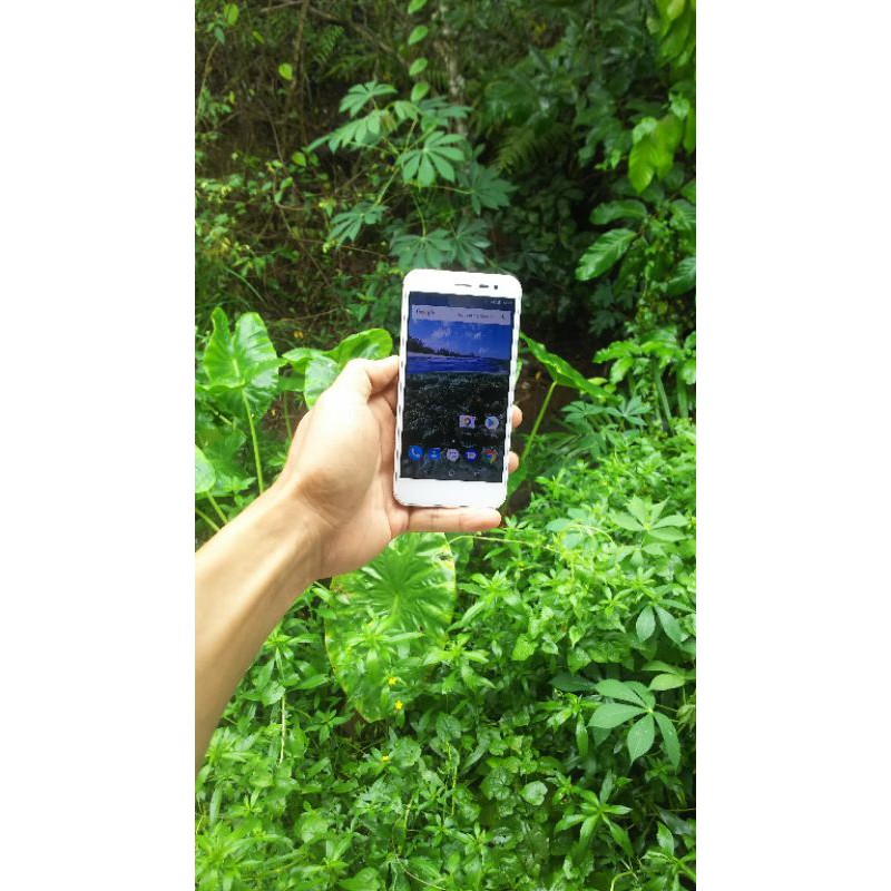 sharp 507sh wifi only