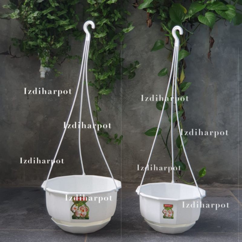 pot bunga tanaman gantung Gardenia 08 putih lion star 22cm