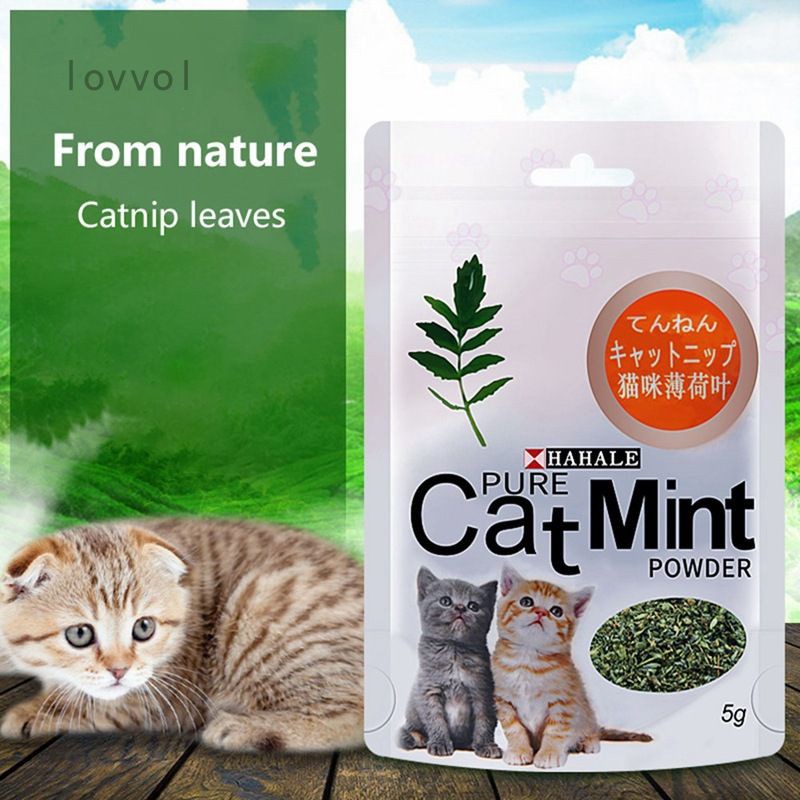 CAT MINT - Catnip Makanan Kucing Mainan Kucing Obat Fly Kucing Obat Stress Kucing Obat Kucing Gembira