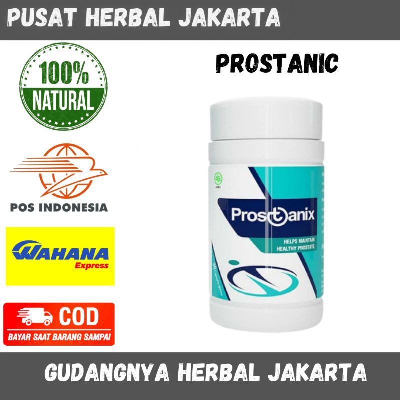 PROSTANIX ORIGINAL Obat herbal prostat ampuh alami