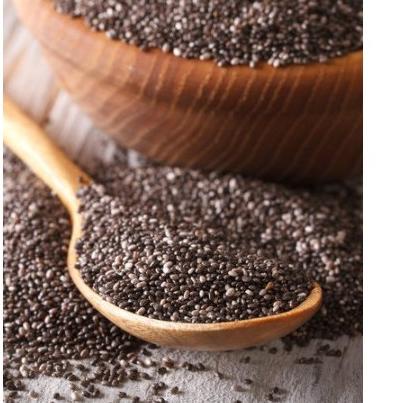 

ARTX3j3I--ORGANIC CHIA SEED 100GR