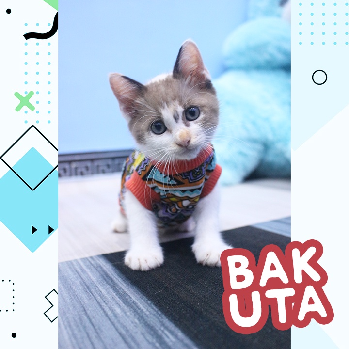 Kaos Lengan pendek motif No #4958 / Baju Kucing tangerang murah / baju kucing lucu size S-XL