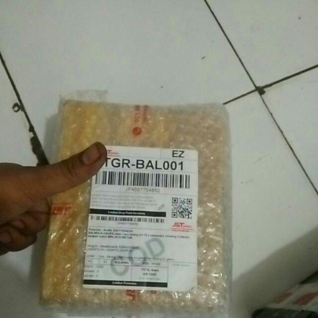 Ikan Cupang Koi
