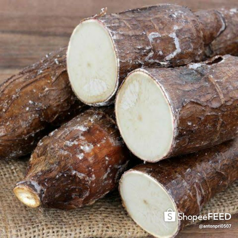 

Singkong / Ketela pohon