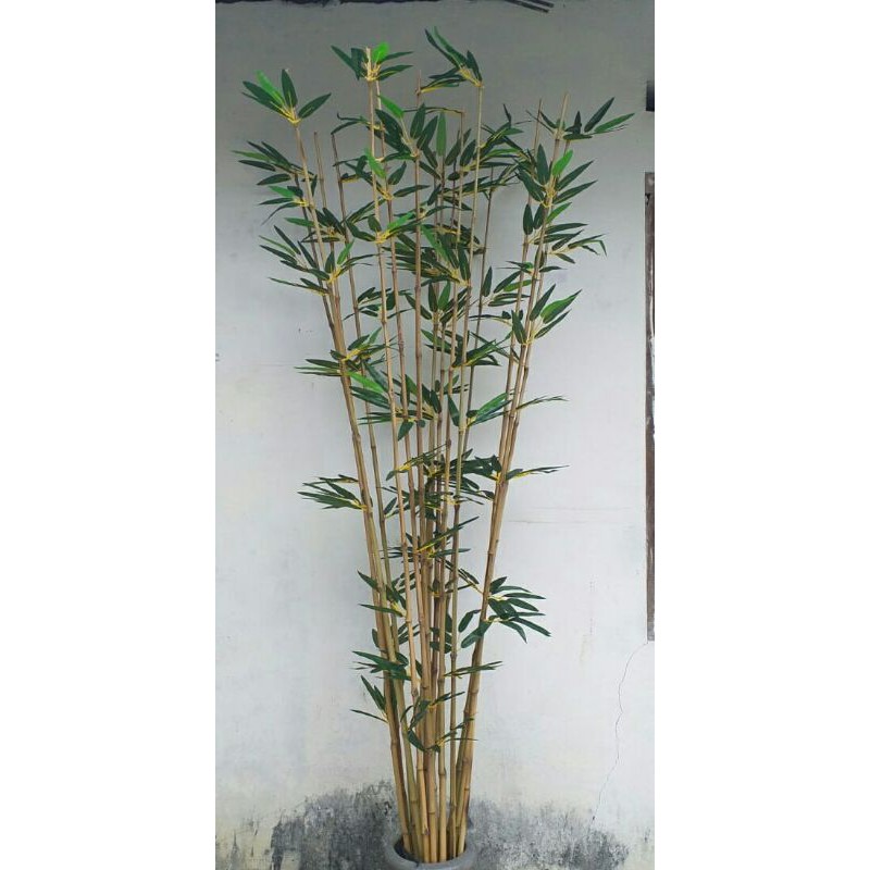 1bambu cendani lurus 2m daunbambu /1LR DB