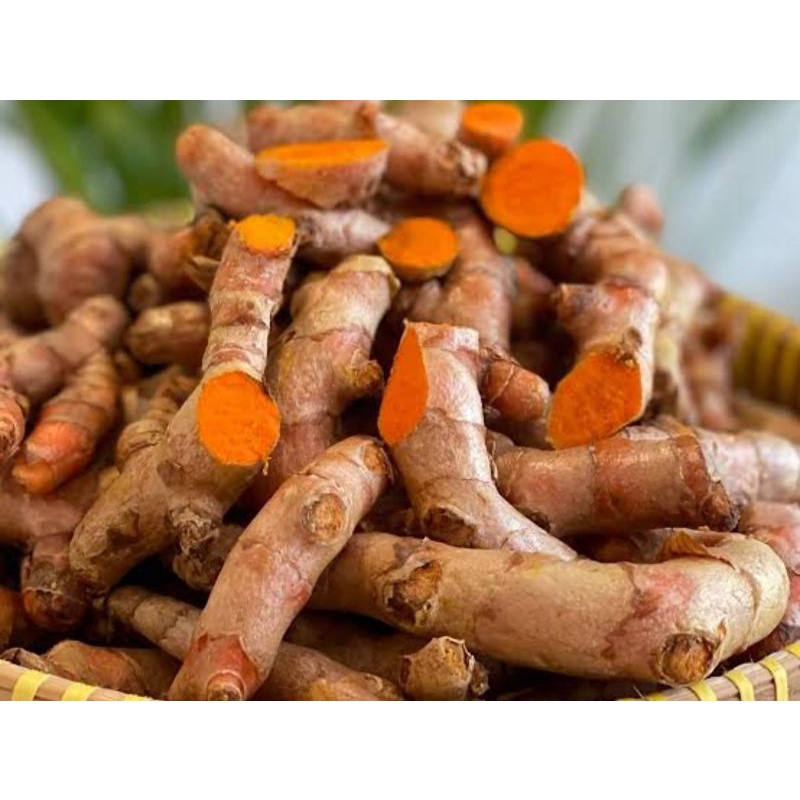 

Kunyit Super 1 Kg Sedang Sampai Besar Fresh