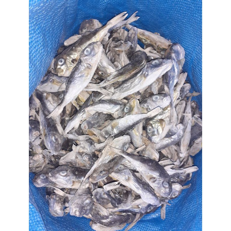 

IKAN ASIN BUNTAL 500kg