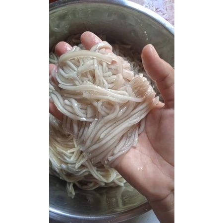 

MIE SAGU SIAP OLAH