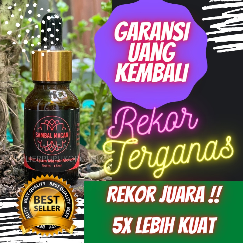 Doping Ayam Aduan,Doping Ayam Aduan Import,Doping Ayam Aduan Import Thailand,Doping Ayam Aduan Terba