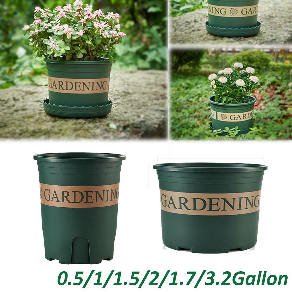 REBUY Kaliber Pot Bunga Hijau Akar Galon Mawar Dekorasi Planters