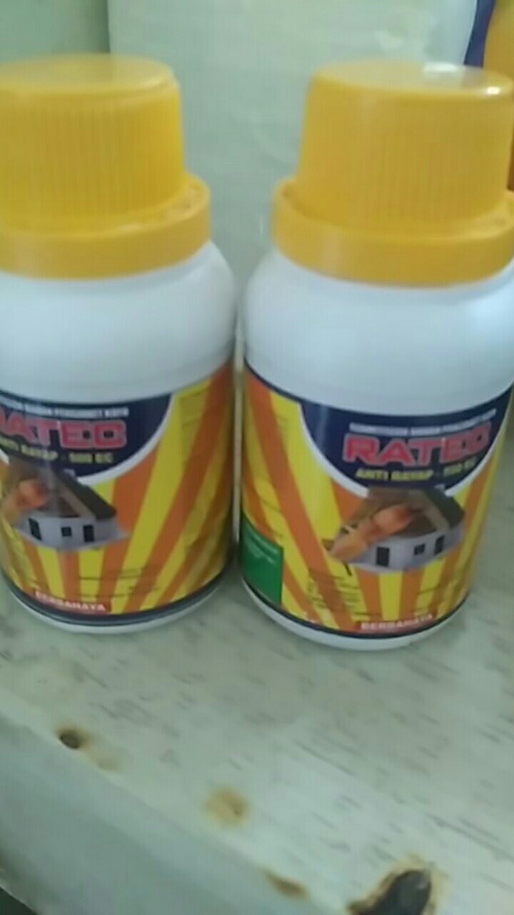 Anti Rayap Ratec 500ec Pengawet Kayu Anti Rayap 100ml