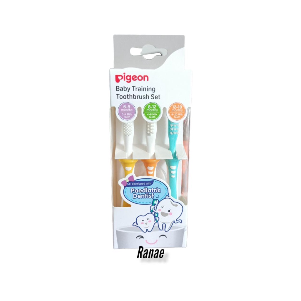 Pigeon Baby Training Tootbrush Set Sikat Gigi isi 3