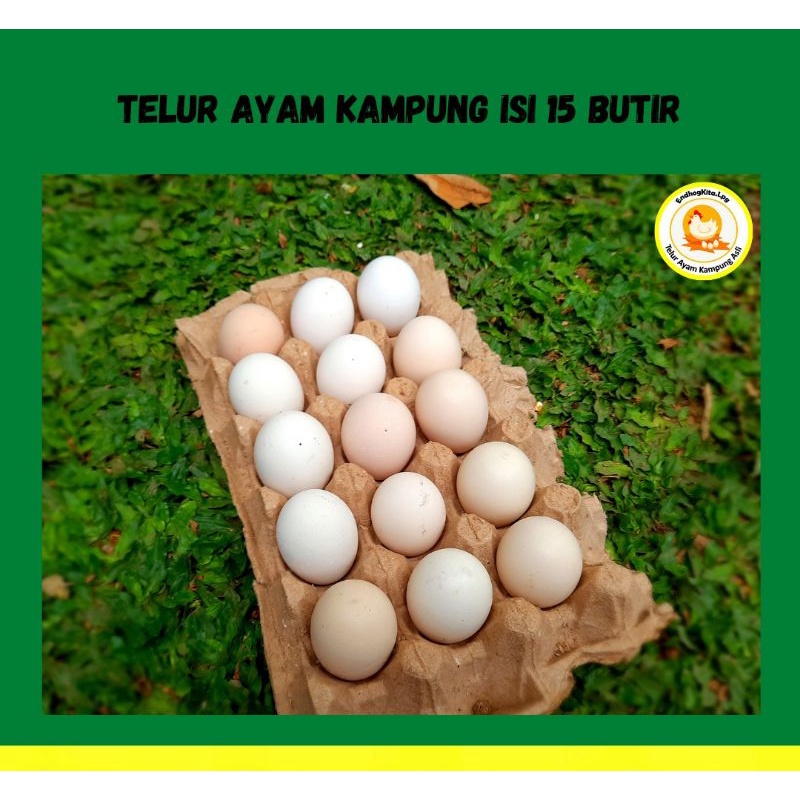 

Telur Ayam Kampung Organik Asli Isi 15 Pcs/Butir