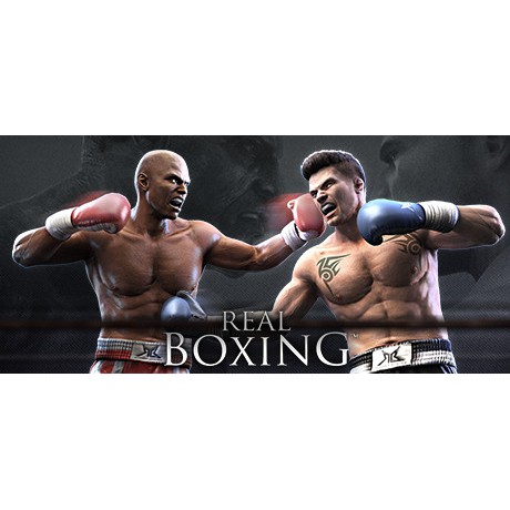 Real Boxing Game PC
