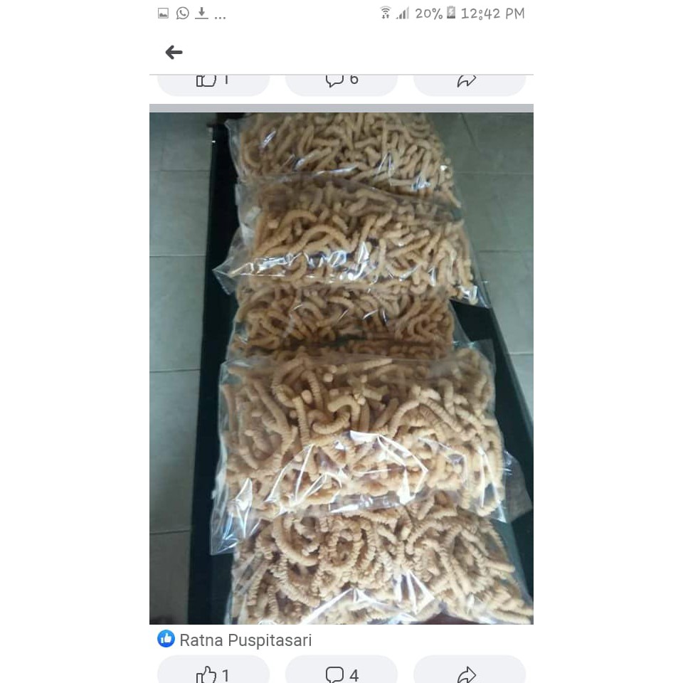 ulat sutra.