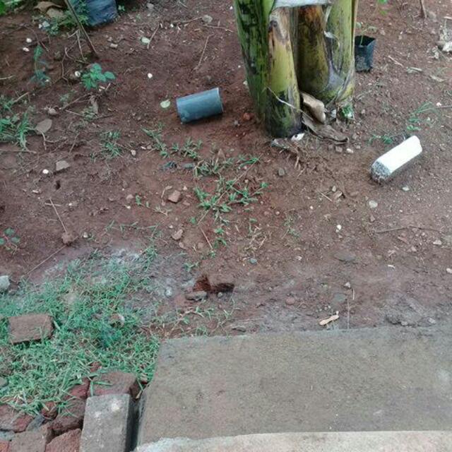 Tee 1.1/4 Inchi Trilliun - T Cabang Tiga Sambungan Paralon Pipa Pvc