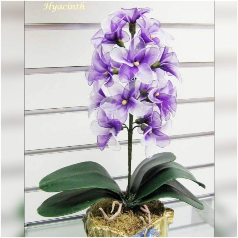 Bunga Anggrek Bahan Stoking