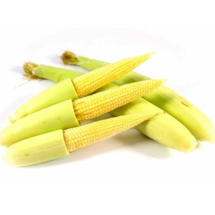 

Jagung Muda 250gr [Jaminan Kualitas]