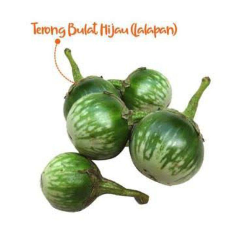 

Terong Bulat ( Hijau / Lalapan) 250gr Bakul Sayur Bandung