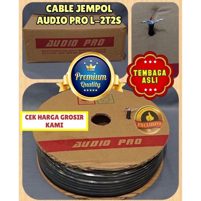 CABLE JEMPOL MIC AUDIO PRO L-2T2S