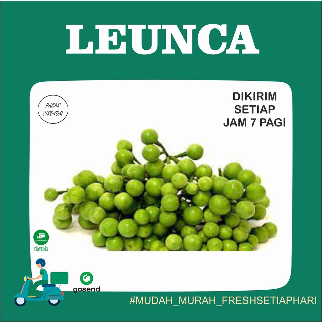 

LEUNCA FRESH MURAH BANDUNG 250g