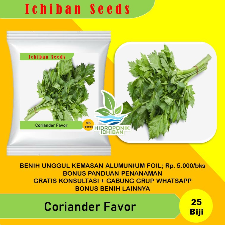 Benih Bibit Biji Daun Coriander Favor atau Ketumbar Known You Seed