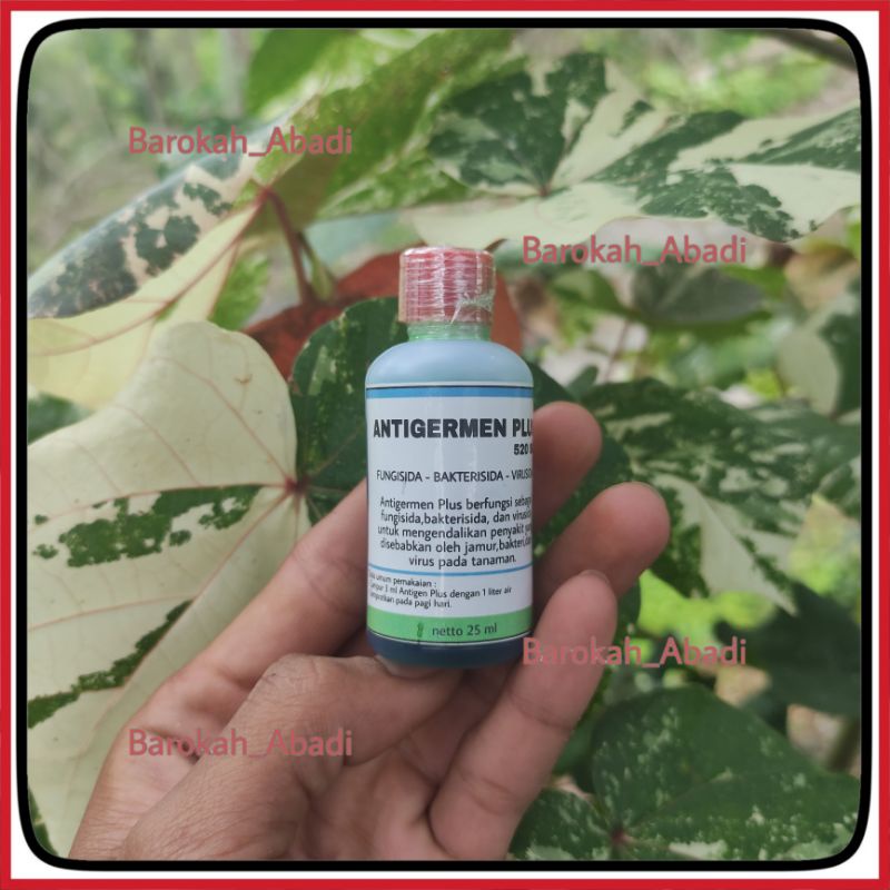 Antigermen plus 520sc 25 ml fungisida bakterisida virusida tanaman