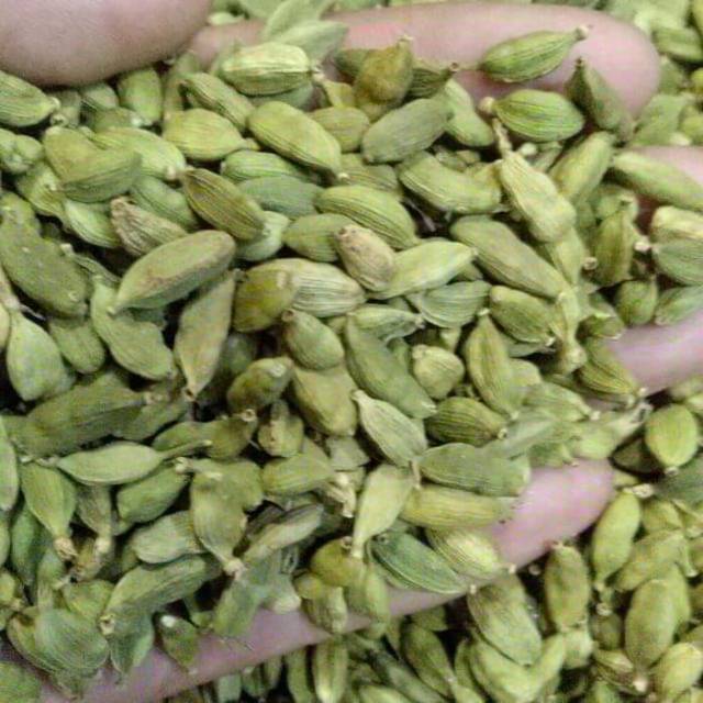 

Kipulaga ukuran 1 kg
