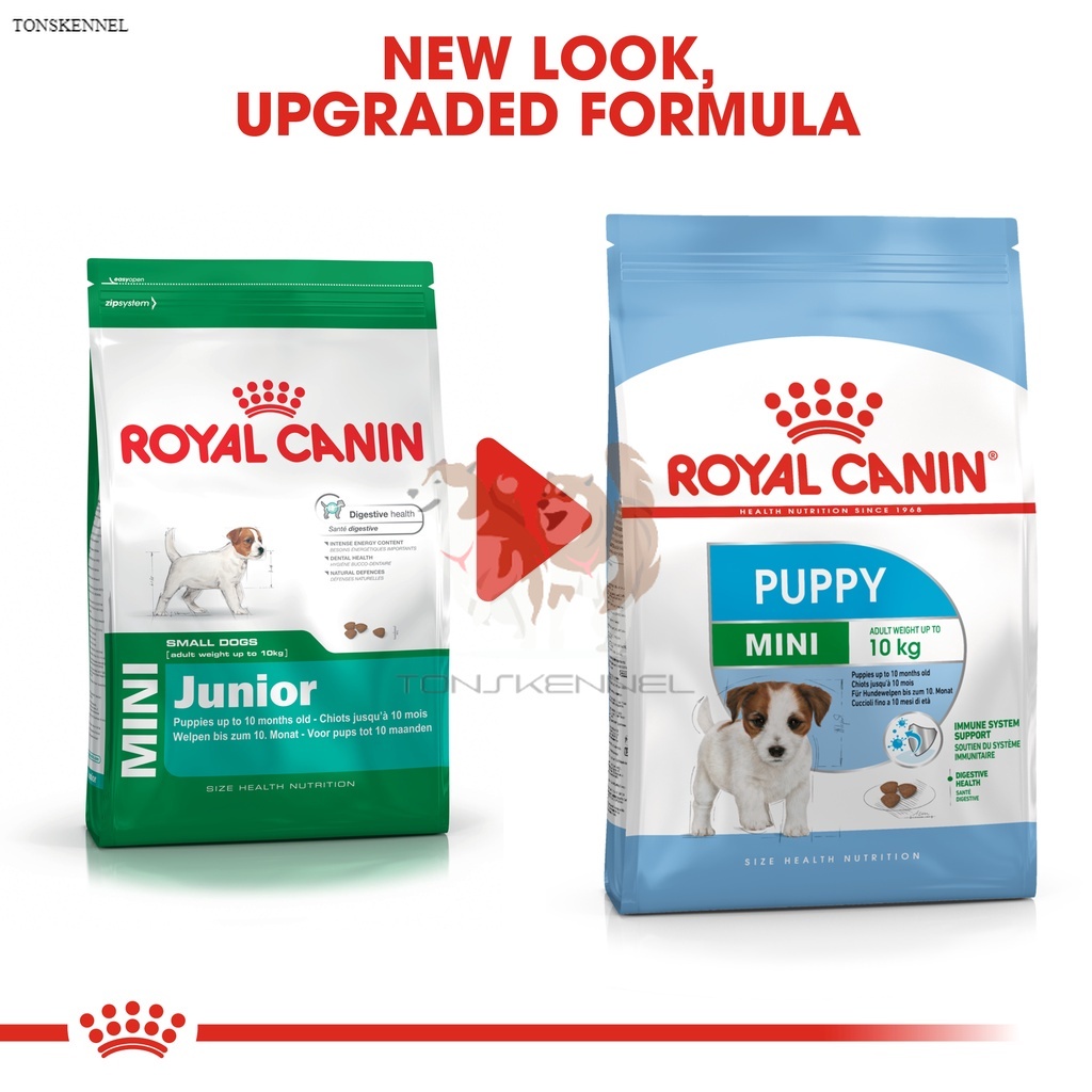 Royal Canin Mini Puppy 8 kg Makanan Hewan Anjing Royal Cannin Junior Makanan Anjing Kecil rc