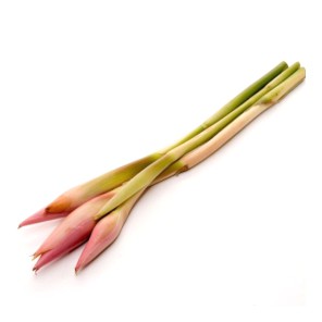 

Kecombrang / Honje Harga Per Pcs #Segar #Online #Bandung #Cimahi