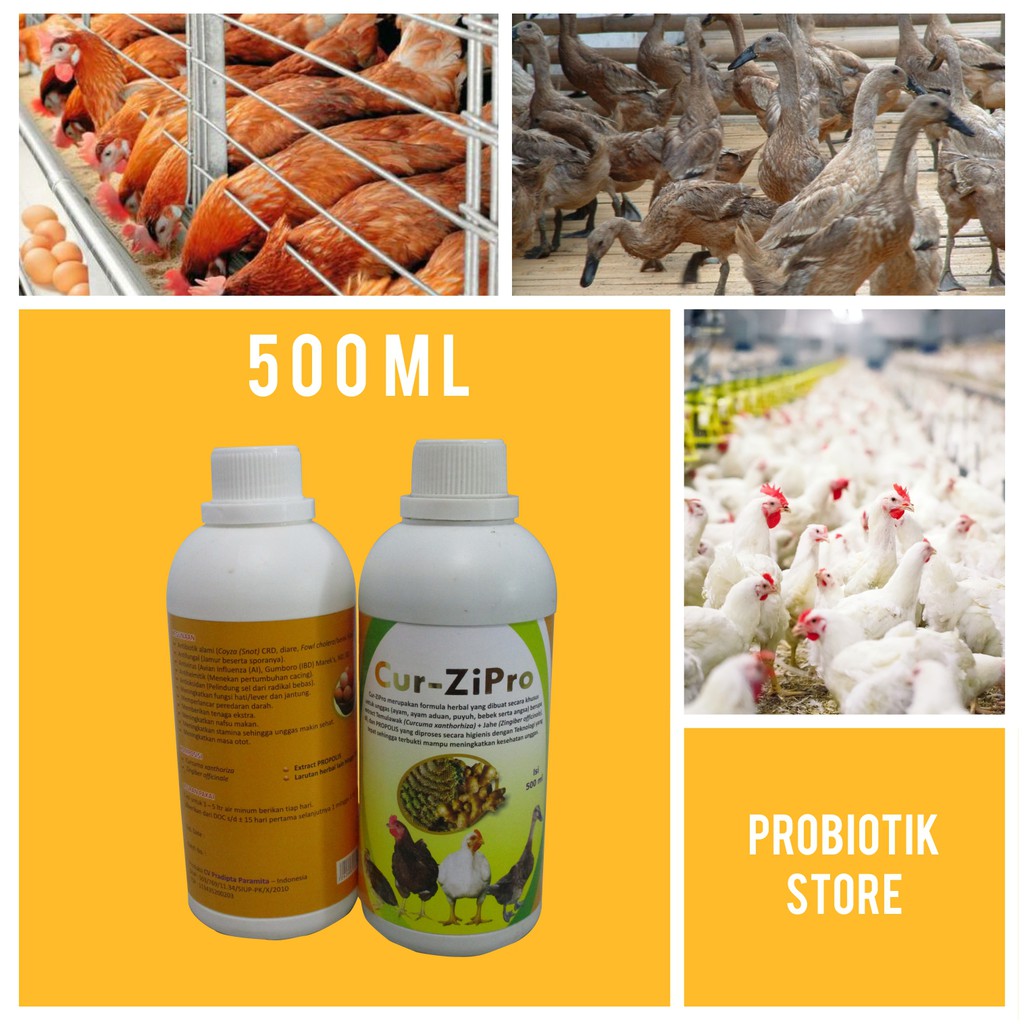 Cur Zipro - Antibiotik Ayam Dewasa