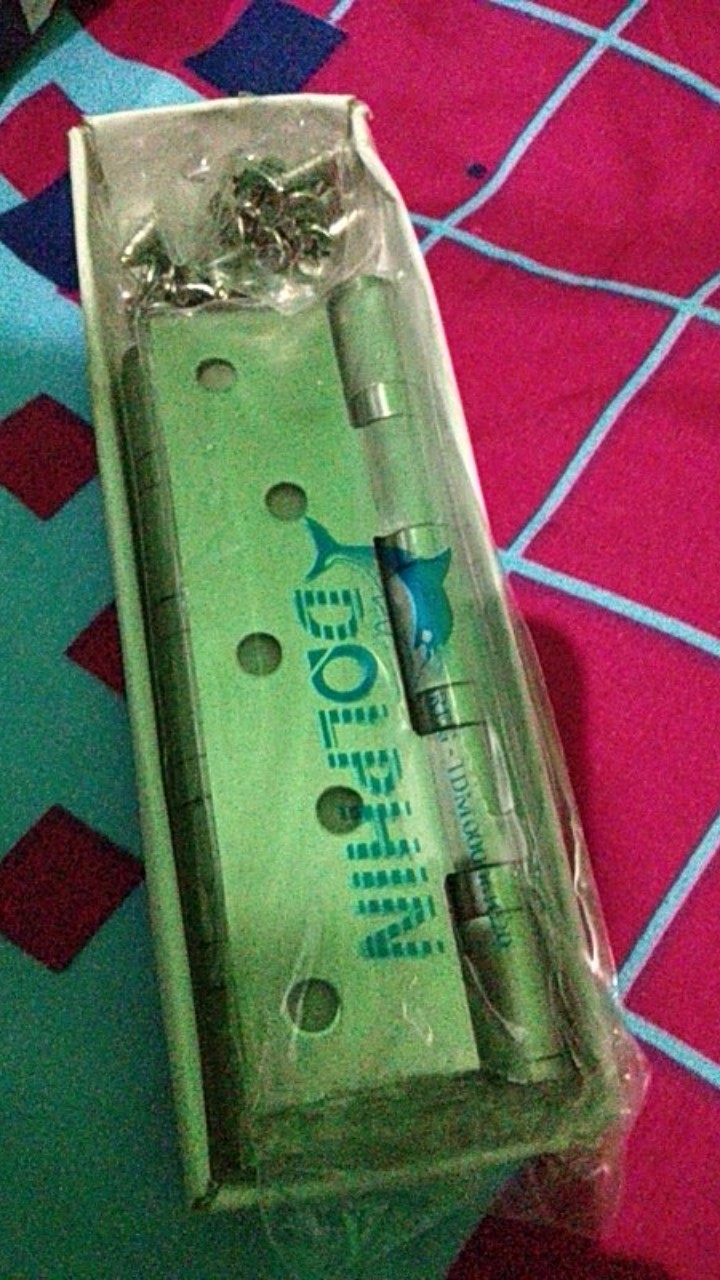 Engsel Pintu 5in Dolphin Stainless Sus304