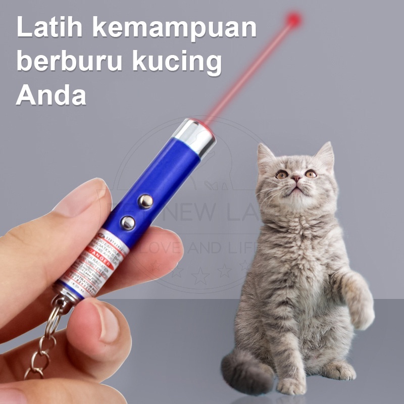 Mainan Kucing Laser Pointer Kucing Anjing Gantungan Kunci Cat Toys Pet Toy