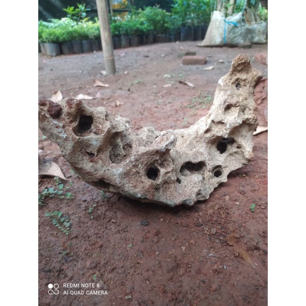 batu karang gunung untuk bonsai/aquscape