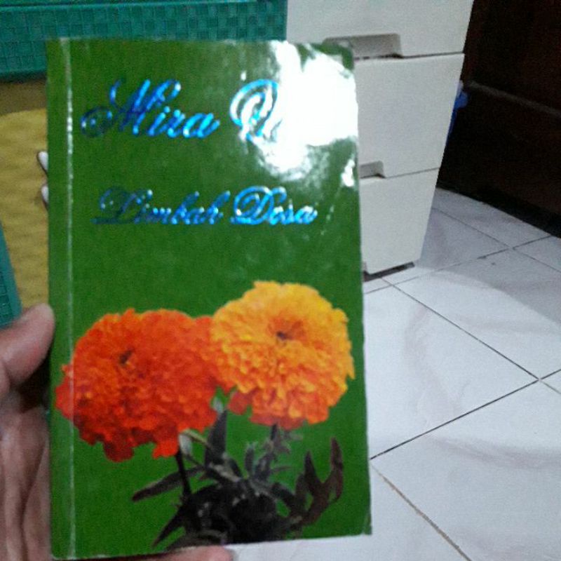 Novel Mira w Limbah dosa