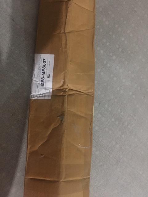 Bibit Alpukat Kendil Super Unggul