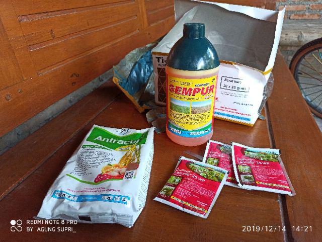 [bisa Cod] Fungisida Antracol 250 Gr Obat Tanaman Obat Jamur Obat Anggrek