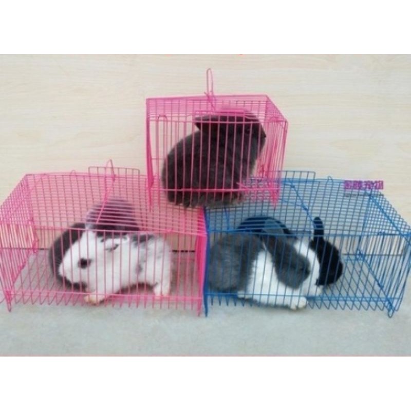 kandang untalan kadang mini kandang burung kandang hamster kandang sugarglider Landak kelinci