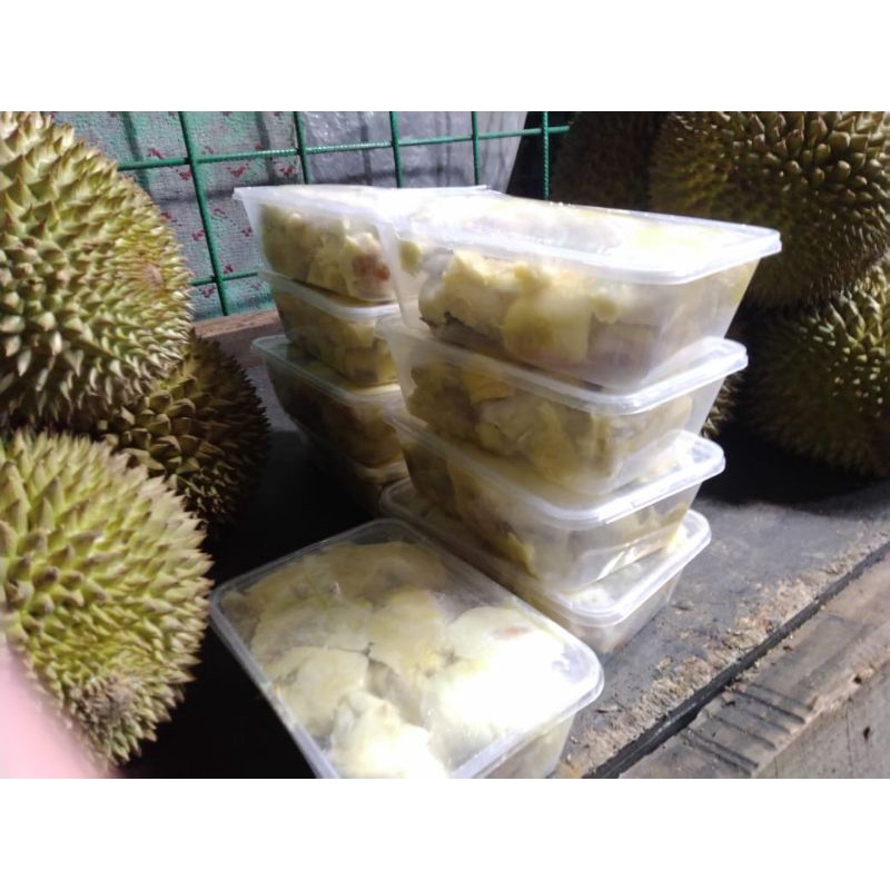 

DURIAN LOKAL SUMATRA & SULAWESI