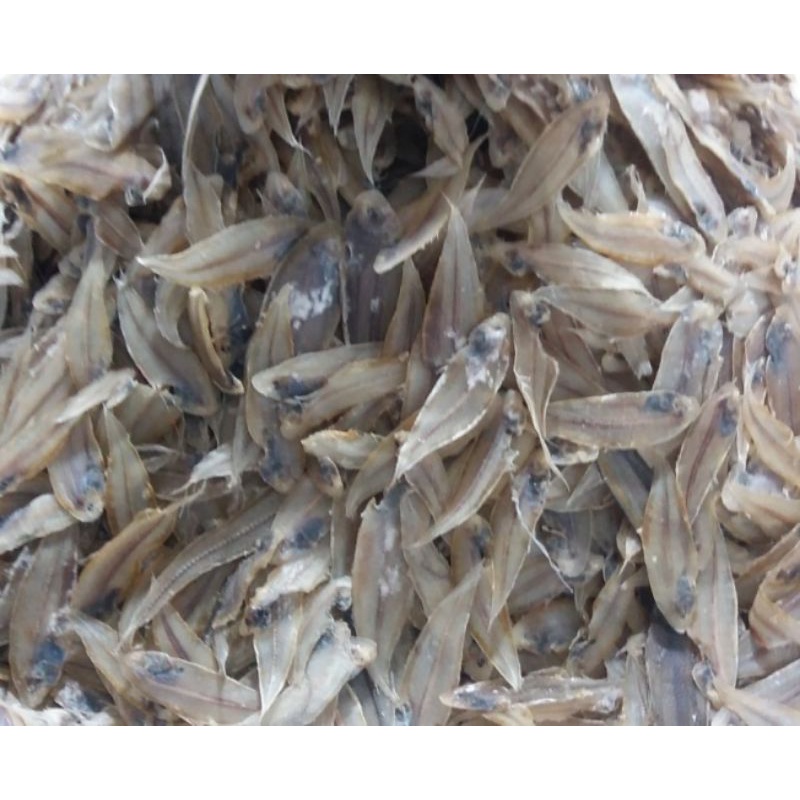 

Ikan Lidah 500 Gram.