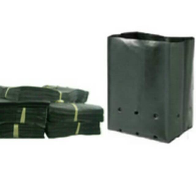 Polybag (40 x 40) cm (1kg)