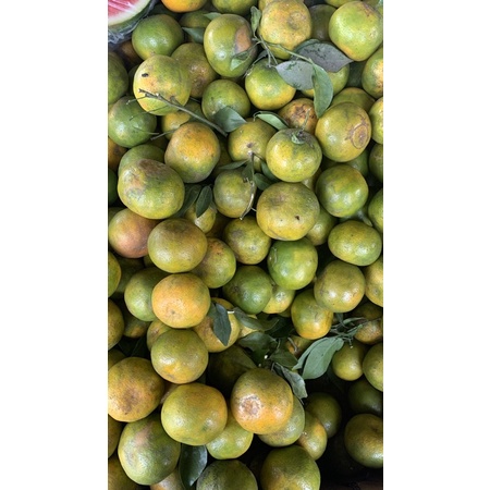 

buah jeruk